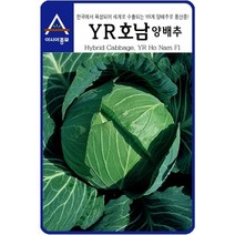 (양배추씨앗종자) YR호남 양배추(500립)