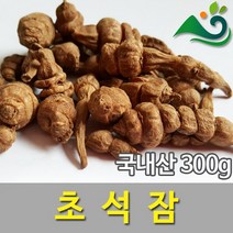 골뱅이형 초석잠(300g)-국내산, 1개