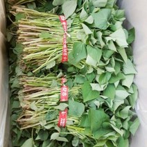 맛있는 농장 호박고구마 모종 20kg, 5월 20일 도착