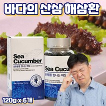 프레쉬자판기 바다의인삼 해삼환 건조해삼 말린해삼 사포닌 건해삼환 120g x 6개
