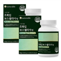 뉴일리 초록입보스웰리아60정 x2통 AKBA+KBA함유 뉴질랜드산 초록잎홍합 간편섭취