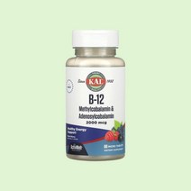 KAL 메틸코발라민 2000mcg 60정 활성형 고함량 B12 빈혈, 3개