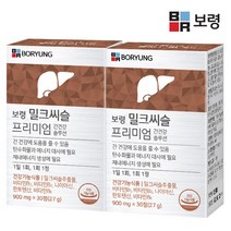 보령 밀크씨슬 프리미엄 간건강 2박스 (2개월분), 단품, 단품
