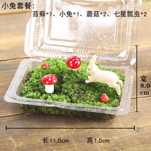DIY 이끼키우기 인테리어화분 테라리움세트 이끼 마이크로 조경 신선한 꽃 냄비 조경 DIY 재료 포장 이끼, 03 녹색 이끼 토끼 트_01 작은