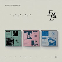 세븐틴 앨범 FML Photobook 랜덤1종 (포토북+가사지+CD 외), 단품