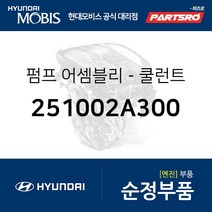 순정 워터펌프 (쿨런트펌프) (251002A300) 올뉴 카렌스 더뉴 카렌스 올뉴 i30 더뉴 i30 더뉴 K3 올