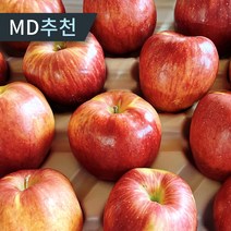 [당일수확발송] 부사 홍로 빨간사과 고당도 가정용 꿀 사과, 1개, 4.5kg 소과(23-25과)