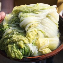 [땅끝파머스] 삶은 배추우거지 업소용 대용량 10kg (급냉) (파란겉잎+속노란배추 섞어 급냉), [업소용 벌크] 삶은 배추우거지 10kg (급냉)