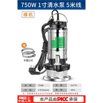WANHE 수중 배수펌프 가정용 산업용 양수 펌프 소형 양수기 고양정 (호스포함 청수전용), 750W 청수용 (1인치 호스 5m)개