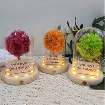 메세지 각인 스칸디아모스 무드등 만들기 DIY 키트, 올리브_폰트3