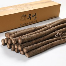 국내산 우엉 2kg 서안동농협, 2kg 특상, 1개