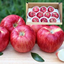 저탄소 gap인증 의성햇사과 중과2kg(8~11입)/BFK