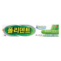 폴리덴트 후레쉬민트 의치부착제(튜브), 1개입, 1개