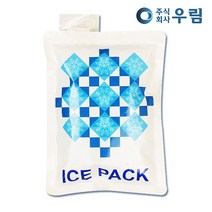세계로 친환경아이스팩 반제품(소 12*17) 500장, 500