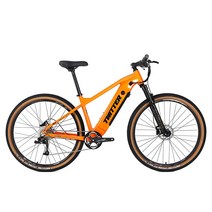 트위터자전거 E300후륜구동 RS10단 350W 13A, 100%완조립배송, 17/29, 레드