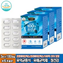 100억유산균 비피더스균 락토바실러스 17종 프로바이오틱스 람노스유산균 장건강 유산균캡슐