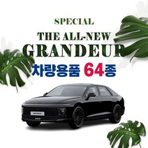 [차랑] 디올뉴 그랜저 GN7 튜닝 용품 인테리어 악세사리 모음 보호필름 스크래치 커버 스티커 쿠션, 57_뒷좌석 멀티포켓 수납함 : 코튼베이지