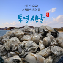 당일 조업 청정해역 경남 통영굴 깐굴 생굴 1kg 2kg 3kg 산지직송 자연산 오전 11시 까지 주문시 당일 발송, 1개