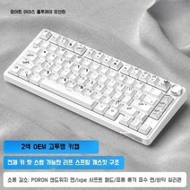 RKR75 맞춤형 기계식 키보드 무선 블루투스 3모드 GASKET 구조 풀 키 스틸 장착, 공식 표준, 녹색축【단락축】, A.R75화이트[블루레이-풀키]싱글템플릿