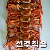 [선주 직송] 포항 구룡포 연지홍게 7~11마리 (찜+배송비 포함), 1박스, B급 3kg 7~11마리 내외(육수용)