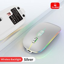 버티컬마우스 손목보호 인체공학 무선 손목터널증후군 무소음 원 클릭 데스크탑 기능이 있는 듀얼 모드 블루투스 노트북 pc용 type-c 충전식 자동 백라이트 new, 2.4g 무선 실버, 06 2.4G Wireless Silver