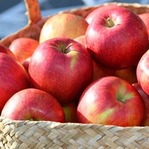 경북 가정용 꿀 사과 4kg, 가정용사과4kg(22과내외)