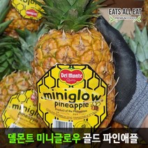 이츠올릿 델몬트 프리미엄 고당도 골드 파인애플 미니글로우 11.5kg 10과