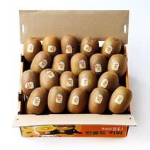 [장보남]제스프리 제주 골드키위 대과 2.9kg(26과) 대과 5.8kg(52과) 옵션선택, 1박스, 제스프리 제주 골드키위 대과 2.9kg(26과)