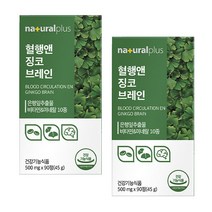 징코 브레인 은행잎 추출물 GINKGO 플라보놀배당체 36mg 기억력개선 혈행개선 도움 비타민 아미노산 함유, 90정, 2개