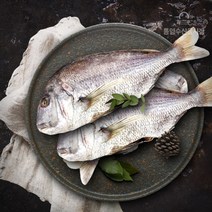 기타 [통영수산물시장] 반건조 참돔(대) 1미 / 700g내외, 상세페이지 참조
