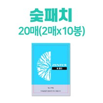 숯 파스 패치 가루 팩 한농 제약 젠톡스 찜질, 10개, 2개입