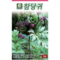 우엉 300립 - 씨 씨앗 우엉씨앗 우엉씨 나물씨 나물씨앗 민속채소 채소씨 채소씨앗 민속씨앗 약쑥 식용쑥, 30_다농_참당귀(1g)