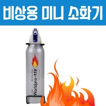 한문철 소화기 스프레이, 314g 1개