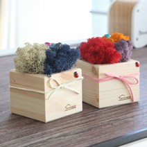 스칸디아모스 화분-공기정화 우드 화분 DIY세트(소), 내추럴화분+C선셋