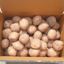 2022년 감자 두백감자 상/ 중&조림사이즈 20kg 10kg 5kg 3kg, 1박스, 10kg 중&조림