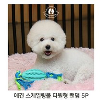 강아지 타원형 5P 랜덤 치석제거 애견 고무 장난감, 없음