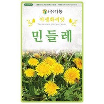 민들레씨앗 500립 XR, 단품없음