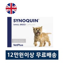 사이노퀸 시노퀸 소형견 강아지 관절영양제 30 캡슐 당일 출고, 30 캡슐 (Capsule)