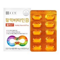 종근당 활력비타민B, 2개, 800mgx60정(48g)