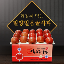 (설선물세트) 전통 국산 밀양얼음골사과 5kg (18~19과) 중소과 과일 제사 명절 효도선물