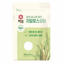CJ 과일청 감미료 백설 하얀 자일로스설탕 500g, 1개