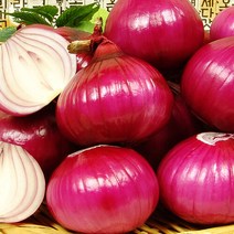 [푸르젠] 자색 양파 5kg(개당 중량 150g 이상), 5kg, 1개