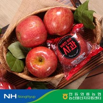 맛있는 경북 햇 미시마 세척사과 3kgx2박스 총6kg(190~250g), 없음