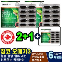 플라보놀배당체 가슴이찌릿찌릿 혈관터짐 은행잎추출 쥐날때 은행잎함유 발이붓는이유 눈이아파요 안구건조 뻑뻑할때 혈관막힘 캐나다직수입 눈이물감 눈통증 권장량 렌즈사용 복용시간 순환제 혈