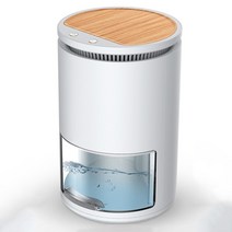 제습기 20리터 대용량 가정용 Haijieer-소형 휴대용 방 수분 흡수 공기 건조기 2000ml 물 탱크 저소음 가, 03 light wood grain
