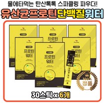 WPH 유청단백 프로틴 유산균 탄산 스파클링 레몬맛 우유단백질 보충제 음료 에이드 여름 웨딩케어 예신 결혼준비 드링크 워터 물 차 MBP 노인 시니어 엄마 아빠 부모님 남편 와이프 주부 비타민 레몬 탄산수 홈트 요가 필라테스 헬스 물대신 보충제