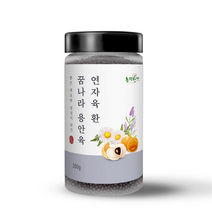 동의한재 꿈나라 용안육 연자육 환 200g 9종재료함유, 단품, 단품