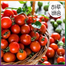 온도씨 [하루배송][온도씨]가락시장 방울토마토1box(5kg) 공유하기 페이스북 트위터 닫기