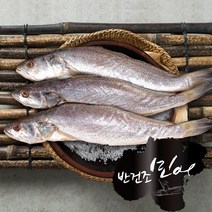 국내산 반건조 민어 특대사이즈 손질완료 천일염으로 밑간, 300g-10미