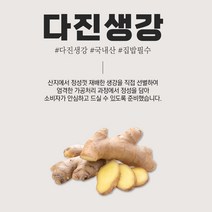 다진생강 손질 깐 안동 서산 세척 영주 국산생강, 동명농산 국내산 다진생강 1kg